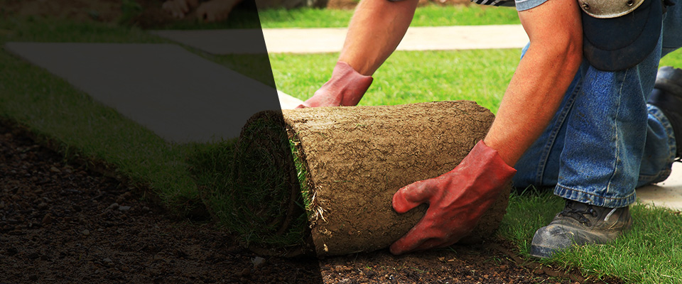 Sanderson Landscapers